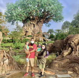 Walt Disney World Animal Kingdom, Tree Of Life