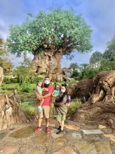 Walt Disney World Animal Kingdom, Tree Of Life