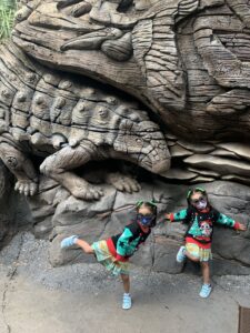 Walt Disney World Animal Kingdom, Animal Carvings