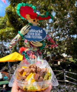 Brisket Nachos, SeaWorld San Diego, Seven Seas Food Festival